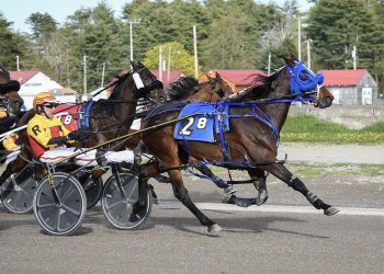 Bet On Joe continues to be a warhorse