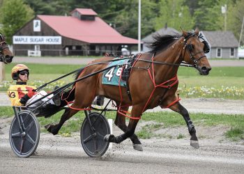 Aussie import shines at Cumberland