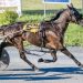 Heath Campbell nails four-bagger at Bangor