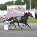 Big M invader trots fastest mile at Plainridge