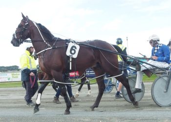 Dreams Are Free targets Sires’ Stakes at Addington