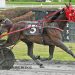 Last to first for Adamczyk in both NAADA trots