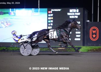 Top open trotter takes first of 2024