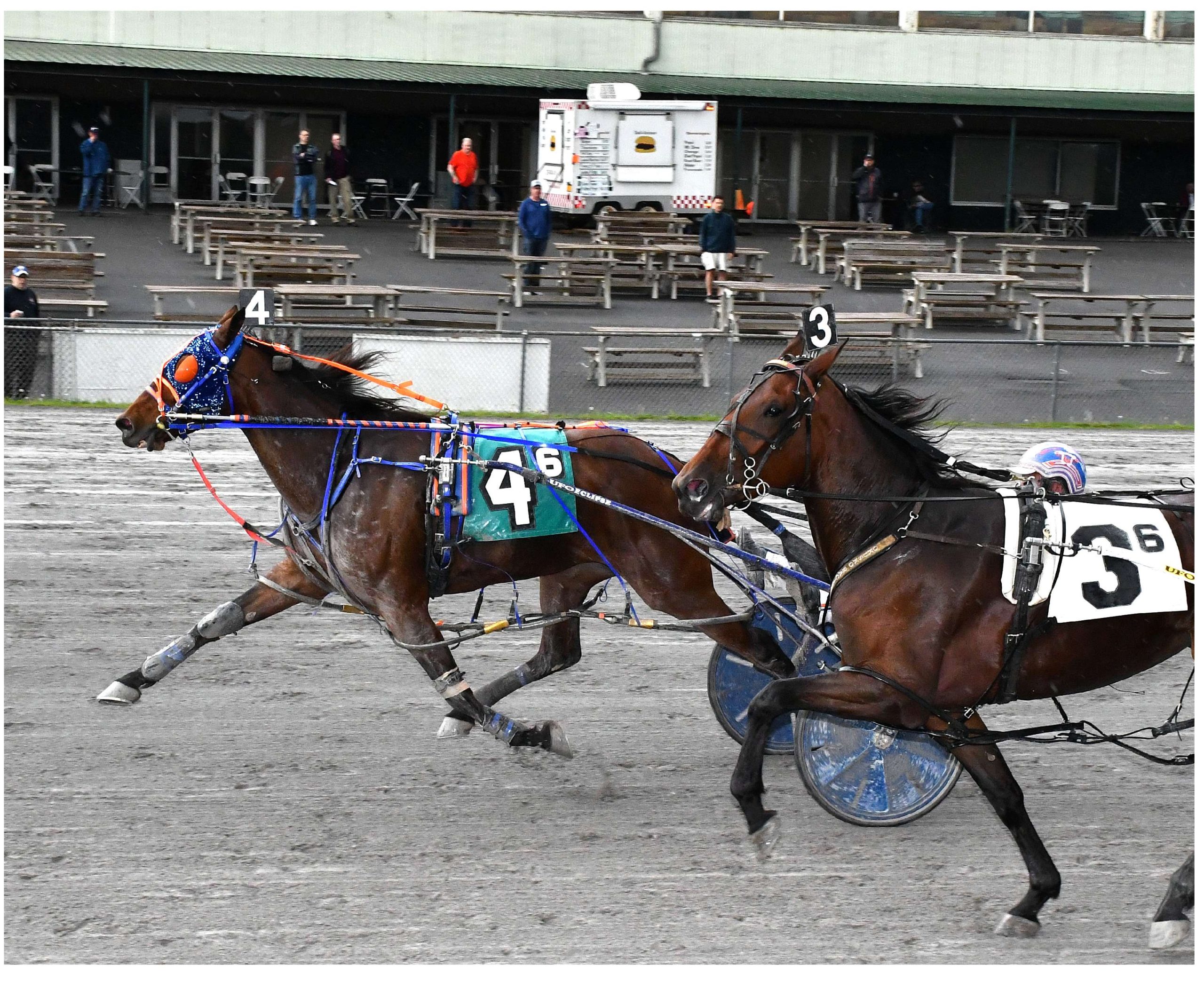 Pocket-rocket takes Vernon Downs feature