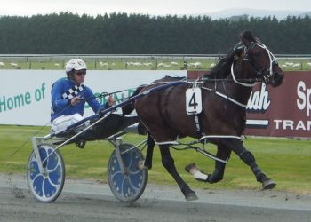 Well-bred colt sails in