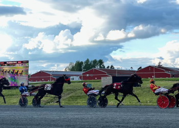 Double digit increases at Fraser Downs