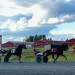 Double digit increases at Fraser Downs