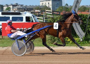 Freya T Boko wins Laszlo Ferge at Kincsem Park