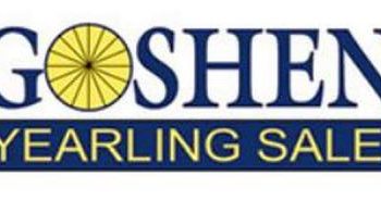 Goshen Yearling Sale consignment deadline coming up
