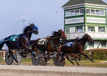 Sophomores Storm Summerside For P.E.I. Colt Stakes
