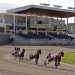 Scioto Downs qualifiers on RTN