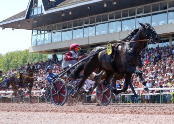 Big crowd at Caen to watch 150,000€ Ducs de Normandie