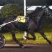 Last to first for K J Todd in Open Trot