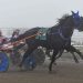 Trotters headline Friday card at Cumberland 2 Trotters headline Friday card at Cumberland