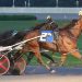 Sam Bowie's Energetic Hanover takes FFA Pace 2 Sam Bowie’s Energetic Hanover takes FFA Pace