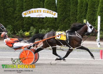 Pocket trip works out for Lanjo Lee