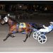 Vernon Downs feature easy score for Le Massif