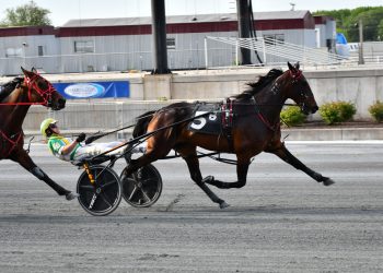 Majorca N does it again in F&M Open