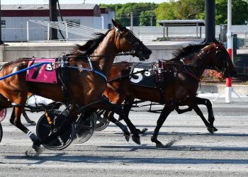 Majorca N takes top mares pace again