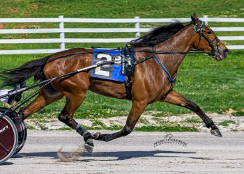 Marvin Luna making heads turn