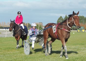 Moment Of What gets the gold