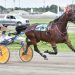 Trotters in the limelight at Hippodrome 3R Sunday
