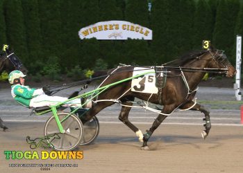 Late charge works for P L Princess