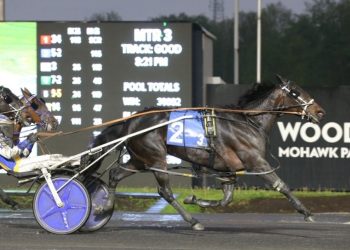 Prohibition Legal bests top mares