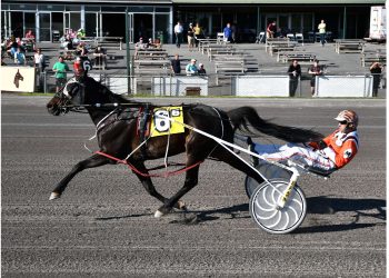 Millionaire mare dominates at Vernon