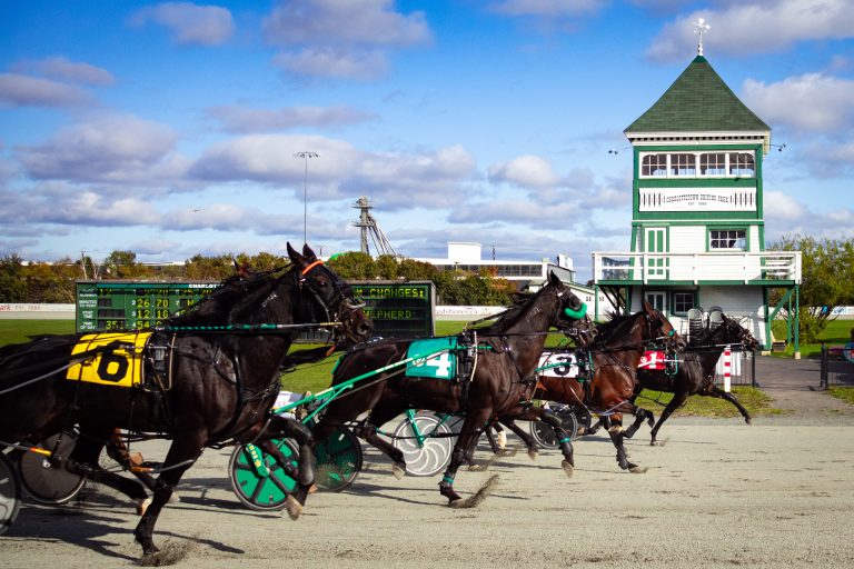 New season starts Saturday at Red Shores - Harnesslink