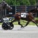 Buter, Alexander sweep $172,500 NYSS at Saratoga