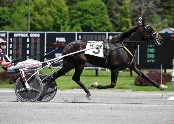 If it’s Saratoga, it must be a five-bagger for Beckwith