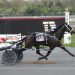 Impressive double for owner, trainer, driver Larry Stalbaum