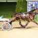 Quebec champ upset at Rideau 2 Quebec champ upset at Rideau