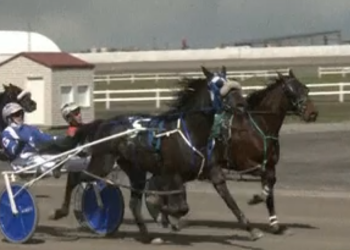 Stakes-contending two-year-old returns a winner at three