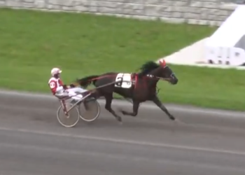 Three straight for Southwind Russian