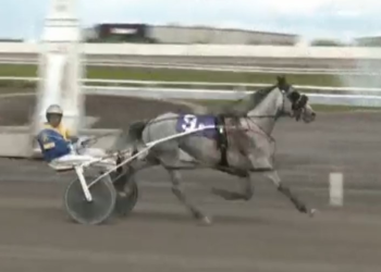 Grey Sea shocks in Century Preferred victory