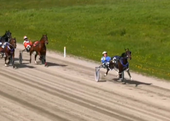 ‘Thundrous’ performance in Northside Winners-Over