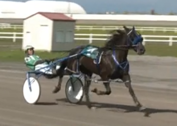 Ten-length romp in $56,900 ABSS Diamond