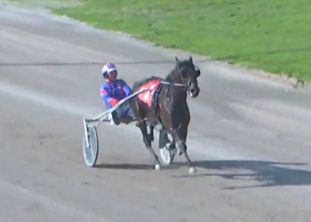 Three-year-old takes third straight in romp