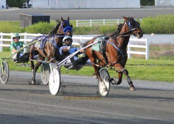 Lone mare beats male rivals at Plainridge