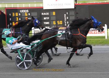 Outside cover key to Open Trot triumph