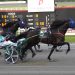 Outside cover key to Open Trot triumph