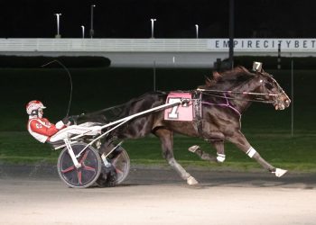 $134,900 Dexter Cup set for Freehold Saturday