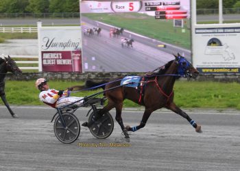 Track record set in $100,000 Battle Of Bunker Hill