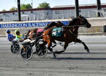 Harrington Open no problem for Speed Away