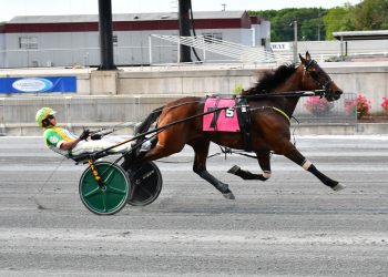 First-over charge takes FFA Trot