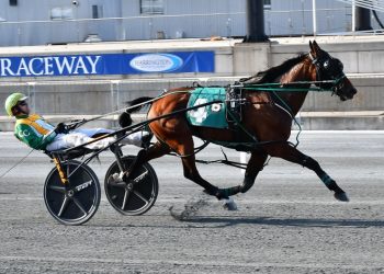 Sweet Angel Boy climbs ladder of success