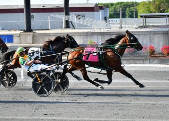 Sweet Angel Boy keeps winning streak going