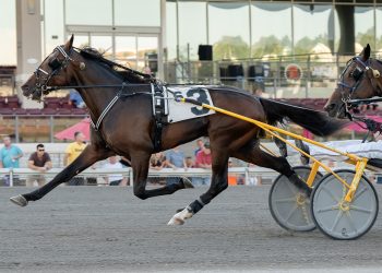 T C I heads $145,272 PASS at The Meadows